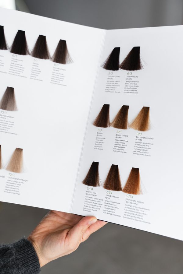 A color palette of hair colors